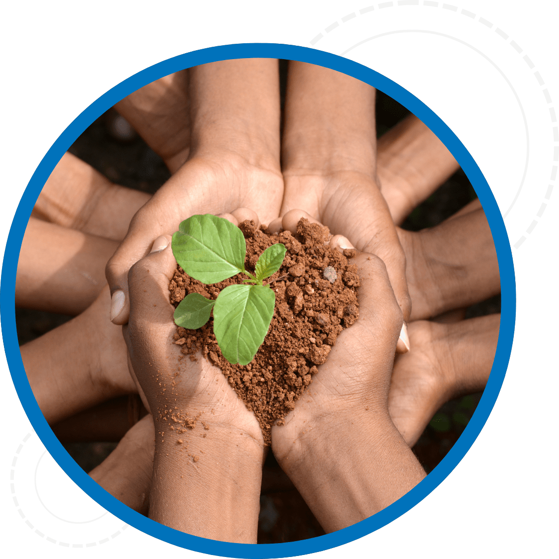 Close up of hands holding soil with a plant growing out of it